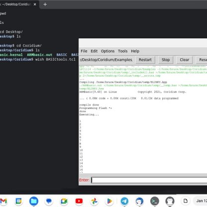 Playing with Chromebook