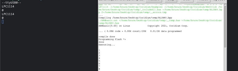 Playing with Chromebook
